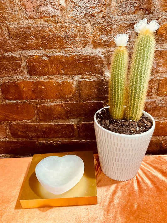 Selenite heart bowl