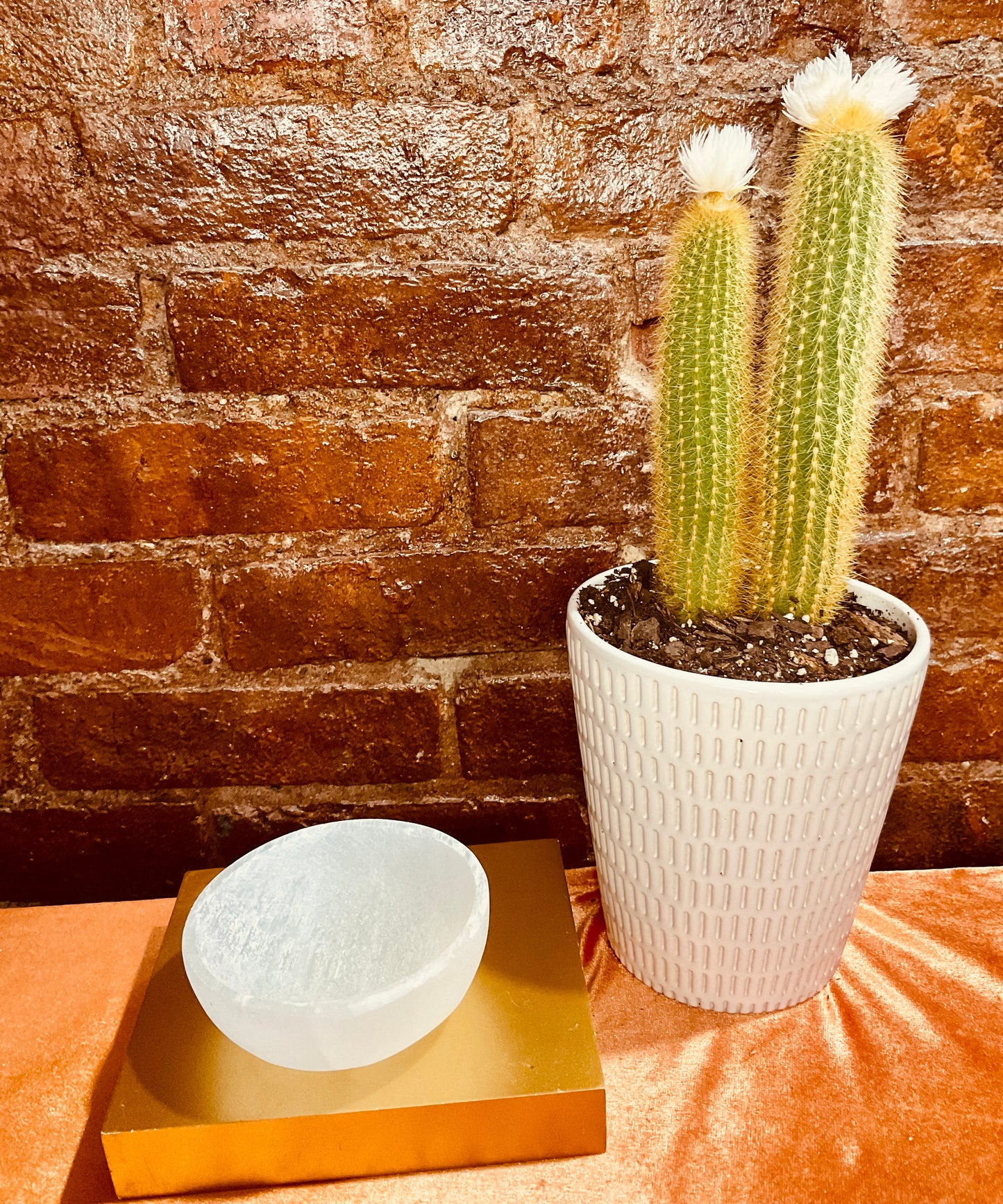 Selenite Bowls